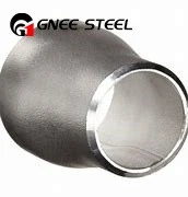 1.4466 1.4436 Steel Pipe Reducer